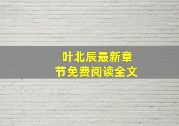 叶北辰最新章节免费阅读全文