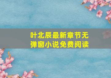 叶北辰最新章节无弹窗小说免费阅读