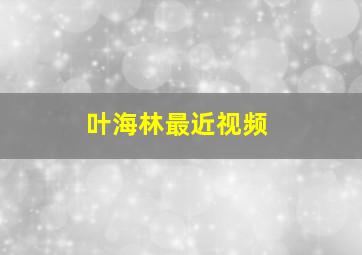 叶海林最近视频