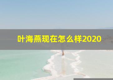 叶海燕现在怎么样2020