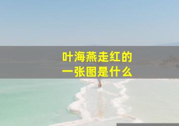 叶海燕走红的一张图是什么