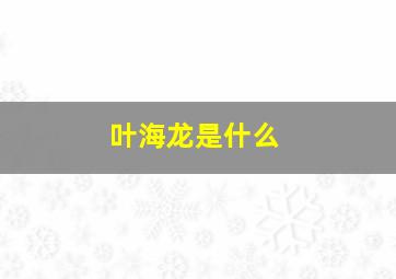 叶海龙是什么