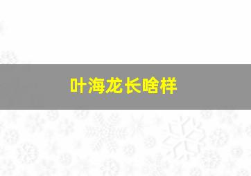 叶海龙长啥样