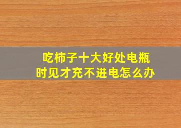 吃柿子十大好处电瓶时见才充不进电怎么办