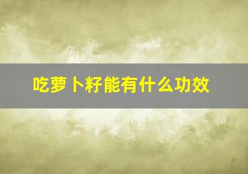 吃萝卜籽能有什么功效