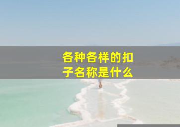 各种各样的扣子名称是什么