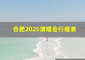 合肥2025演唱会行程表