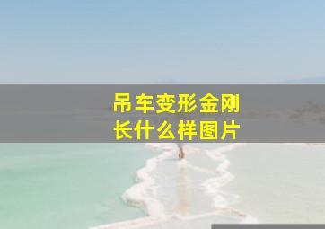 吊车变形金刚长什么样图片