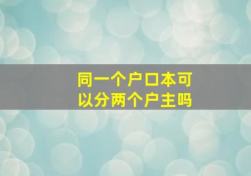 同一个户口本可以分两个户主吗