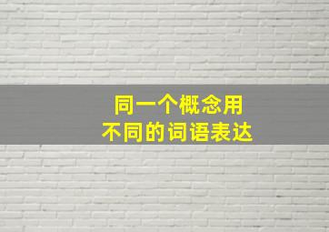 同一个概念用不同的词语表达