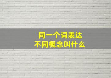 同一个词表达不同概念叫什么