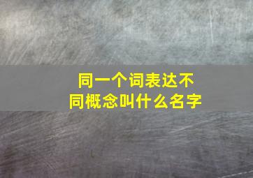 同一个词表达不同概念叫什么名字