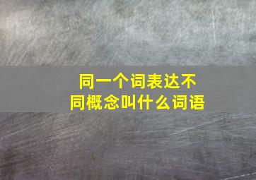 同一个词表达不同概念叫什么词语