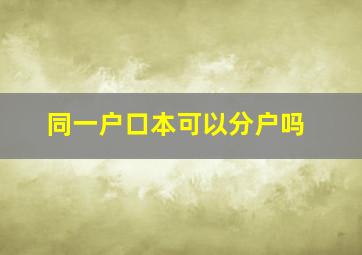 同一户口本可以分户吗