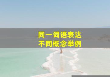 同一词语表达不同概念举例