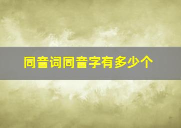 同音词同音字有多少个