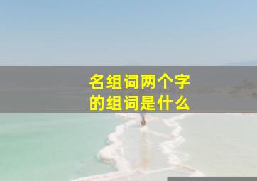 名组词两个字的组词是什么