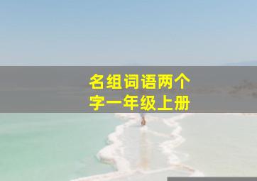 名组词语两个字一年级上册