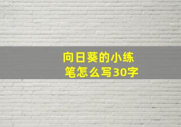 向日葵的小练笔怎么写30字