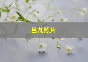 吕芃照片