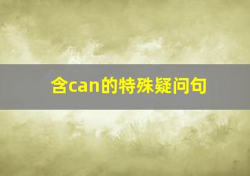 含can的特殊疑问句