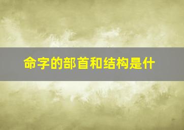 命字的部首和结构是什