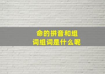 命的拼音和组词组词是什么呢