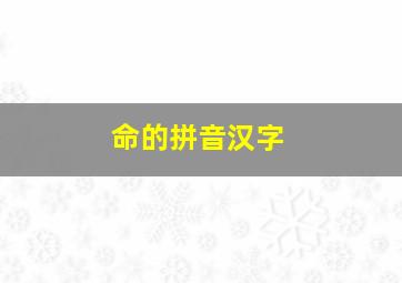 命的拼音汉字