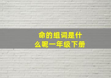 命的组词是什么呢一年级下册