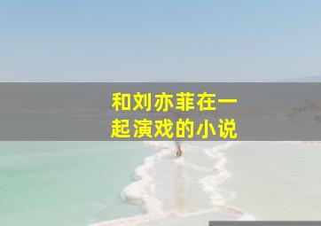 和刘亦菲在一起演戏的小说