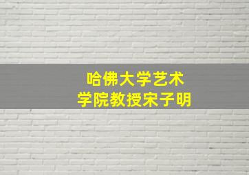 哈佛大学艺术学院教授宋子明