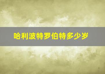 哈利波特罗伯特多少岁