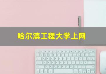 哈尔滨工程大学上网