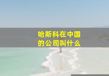 哈斯科在中国的公司叫什么