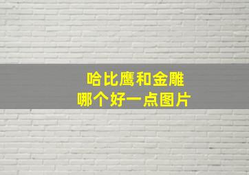 哈比鹰和金雕哪个好一点图片