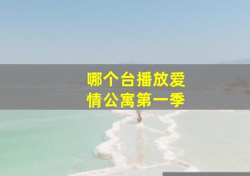 哪个台播放爱情公寓第一季