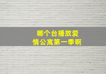 哪个台播放爱情公寓第一季啊