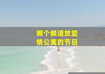 哪个频道放爱情公寓的节目