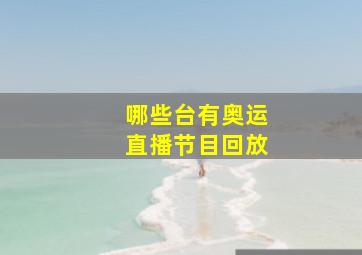 哪些台有奥运直播节目回放