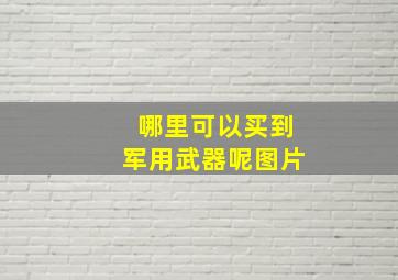 哪里可以买到军用武器呢图片