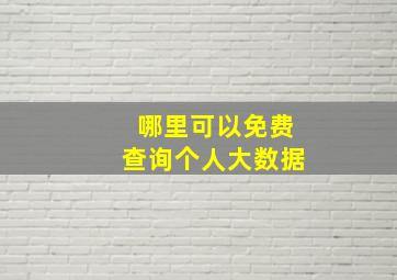 哪里可以免费查询个人大数据