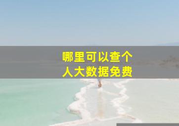 哪里可以查个人大数据免费