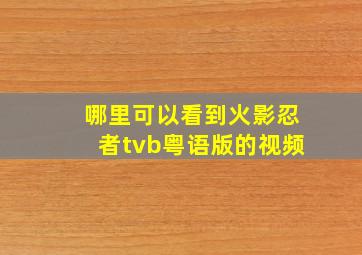 哪里可以看到火影忍者tvb粤语版的视频