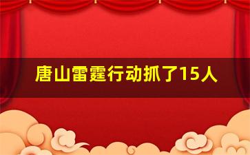 唐山雷霆行动抓了15人