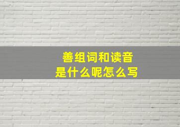 善组词和读音是什么呢怎么写