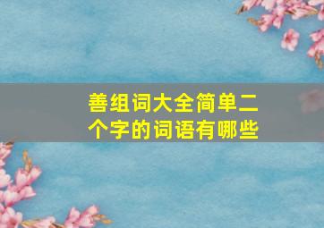 善组词大全简单二个字的词语有哪些