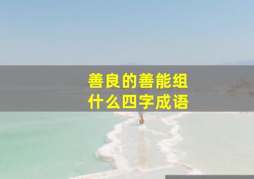 善良的善能组什么四字成语