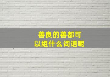 善良的善都可以组什么词语呢