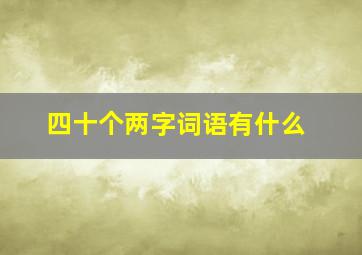 四十个两字词语有什么