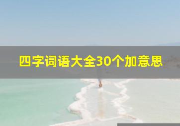 四字词语大全30个加意思